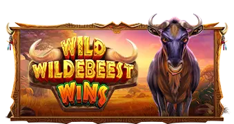 Wild Wildebeest Wins